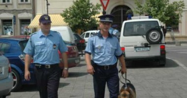 Stire din Eveniment : România trimite  polițiști în Franța ca să patruleze de sărbători