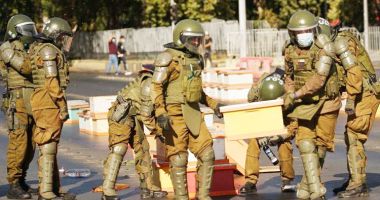 Stire din Actualitate : Polițiști înțepați de sute de albine la un protest, în Chile
