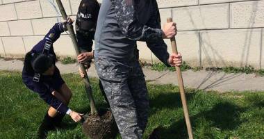 Stire din Eveniment : Polițiștii constănțeni au plantat pomi de Ziua Internațională a Pădurilor