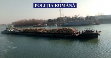 Stire din Eveniment : Polițiștii din Constanța au confiscat o navă șlep plină cu lemne