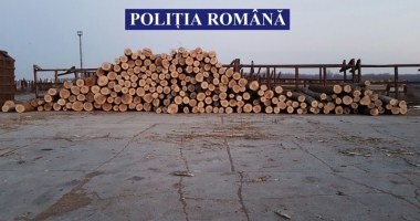 Polițiștii din Constanța au confiscat o navă șlep plină cu lemne - 2