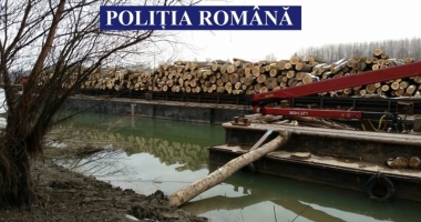 Polițiștii din Constanța au confiscat o navă șlep plină cu lemne - 3