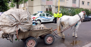 Stire din Eveniment : Polițiștii au găsit soluția pentru căruțele din Constanța: "Confiscăm calul!"