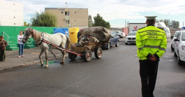 Polițiștii au găsit soluția pentru căruțele din Constanța: "Confiscăm calul!" - 2