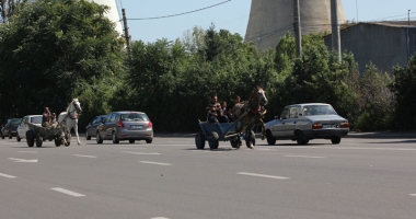 Polițiștii au găsit soluția pentru căruțele din Constanța: "Confiscăm calul!" - 3