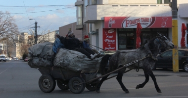 Polițiștii au găsit soluția pentru căruțele din Constanța: "Confiscăm calul!" - 4