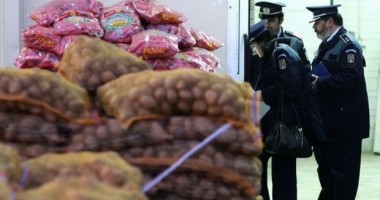 Stire din Eveniment : Polițiștii caută evaziune fiscală din depozitele en-gross