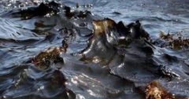 Stire din Social : Poluare pe Dunăre: o pată de petrol de un kilometru