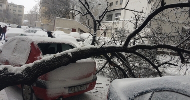 COD ROȘU DE VISCOL LA CONSTANȚA! Dezastru în oraș: stâlpi și copaci căzuți! - 3