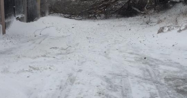 COD ROȘU DE VISCOL LA CONSTANȚA! Zeci de copaci căzuți, în tot orașul. Echipele intervin cu greu - 6