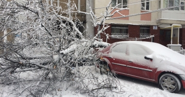 COD ROȘU DE VISCOL LA CONSTANȚA! Zeci de copaci căzuți, în tot orașul. Echipele intervin cu greu - 5
