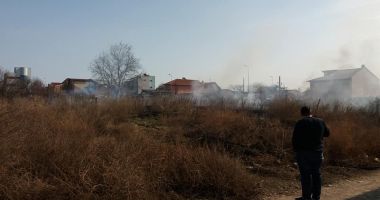 Terenuri lăsate de izbeliște de proprietari. De la mizerii, la incendii. Cine achită nota de plată? - 3