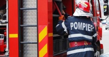 Stire din Eveniment : Cinci câini au murit după ce un aragaz a explodat. Stăpânii patrupedelor nu erau acasă