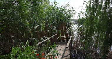 Dosare penale pentru pontoane construite ilegal - 2