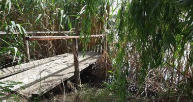 Dosare penale pentru pontoane construite ilegal - 3