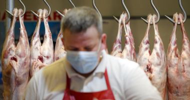 Stire din Actualitate : 20 de tone de mațe de porc, cu un antibiotic periculos, au fost reținute în portul Constanța