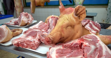 Atenție, de unde cumpărați porcul pentru Crăciun! Iată unde puteți testa carnea, în Constanța - 2