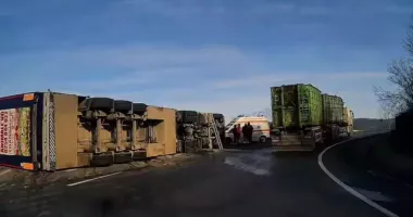 Stire din Eveniment : Camion încărcat cu aproximativ 200 de porci vii, răsturnat. Intervenție de urgență a pompierilor