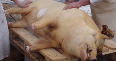 Stire din Social : Vin sărbătorile! De unde este bine să cumpărăm carnea de porc