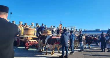 Mii de credincioși, prezenți la Sărbătoarea Bobotezei, la Constanța - 10