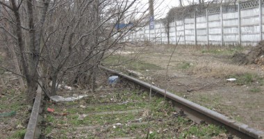 În portul Constanța, a crescut o pădure pe liniile de cale ferată - 2