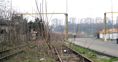 În portul Constanța, a crescut o pădure pe liniile de cale ferată - 3