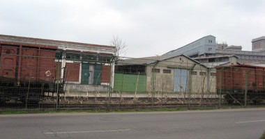 În portul Constanța, a crescut o pădure pe liniile de cale ferată - 4