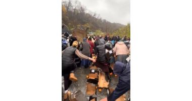 Stire din Eveniment : Zeci de oameni s-au înghesuit să adune portocalele împrăștiate dintr-un TIR răsturnat