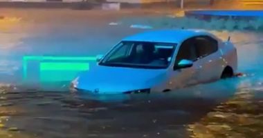 Potop în Tulcea după o ploaie de cod portocaliu. Mașini, curți și străzi, distruse de ape - 3