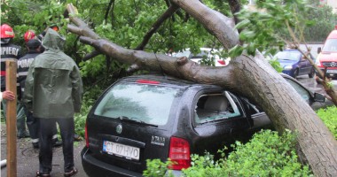 Stire din Social : Galerie FOTO. COD ROȘU la Constanța. Copaci căzuți, străzi inundate, plaje și drumuri distruse