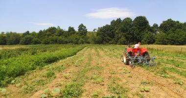 Stire din Economie : Potop de oferte pe piața terenurilor agricole din județul Constanța