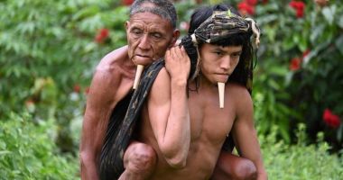 Stire din Actualitate : Povestea emoționantă din spatele unei fotografii surprinse în Amazon, care a devenit virală