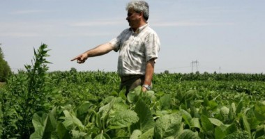 Stire din Economie : Pentru ce mai pot solicita fermierii constănțeni bani europeni