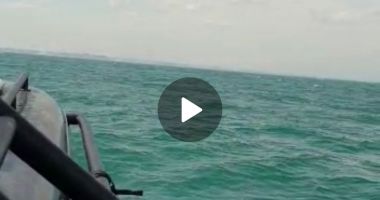 Stire din Eveniment : FOTO / VIDEO. Acțiune de căutare și salvare pe Marea Neagră. Ambarcațiune cu o persoană la bord - DISPĂRUTĂ!