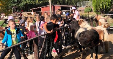 GALERIE FOTO. Ziua Educației, prilej de experiențe inedite pentru elevii de la Școala „Gheorghe Țițeica” - 2