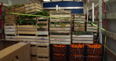 Stire din Eveniment : Aproape o tonă de legume și fructe, în plasa Gărzii de Coastă