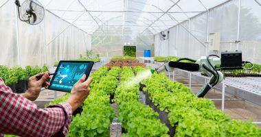 Stire din Economie : O nouă agenție înființată în subordinea Ministerului Agriculturii cu 3,5 milioane de euro
