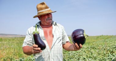 Poziția fermierilor români privind politica agricolă comunitară - 2