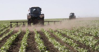 Stire din Economie : Poziția fermierilor români privind politica agricolă comunitară