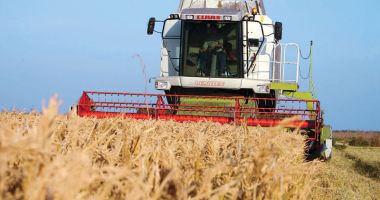 Poziția fermierilor români privind politica agricolă comunitară - 3