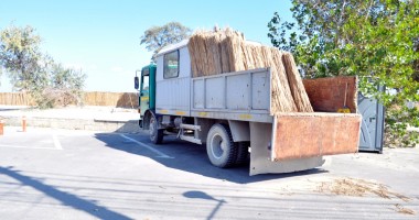 Plajele de pe litoral, puse la "conservat" - 1