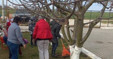 Stire din Social : Pregătirea pentru primăvară, în toi la Locuințele Protejate pentru Adulți cu Dizabilități din Topraisar