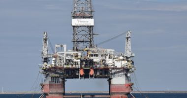 Premieră la malul mării. Cormoranii moțați pe litoralul românesc - 2