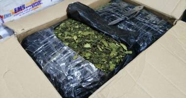 Constanța, sub amenințarea "drogului verde"! - 3