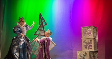 Premieră la Teatrul de Copii: "Prințesa și broscoiul" - 2