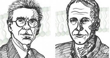 Stire din Cultură-Educație : PREMIILE NOBEL 2012: Brian K. Kobilka și Robert J. Lefkowitz, laureații pentru chimie