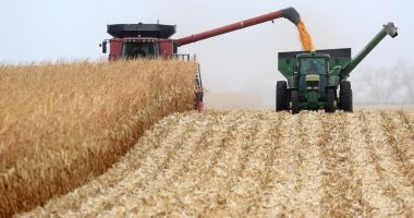Stire din Economie : Preţul cerealelor a atins cel mai înalt nivel din ultimii ani