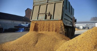 Stire din Economie : Preţul grâului a explodat după ce Rusia a ieşit din acordul de export al cerealelor prin Marea Neagră