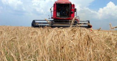 Stire din Economie : Prețuri de mizerie  pentru recolte record