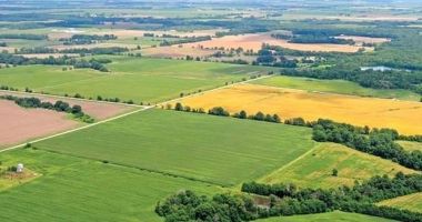 Stire din Economie : Previziuni pentru anul agricol 2021